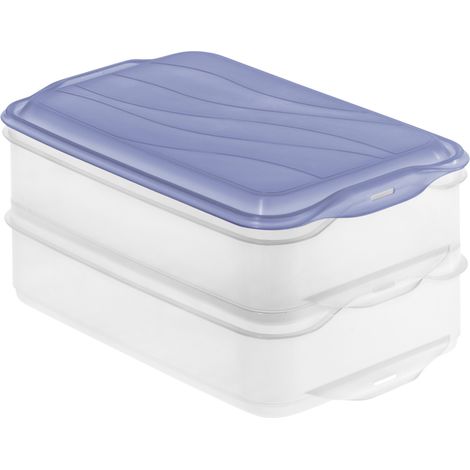 Rotho KÃ¼hlschrankdose Rondo 2 x 1,35 l horizon blue, Frischhaltedose (1/2)