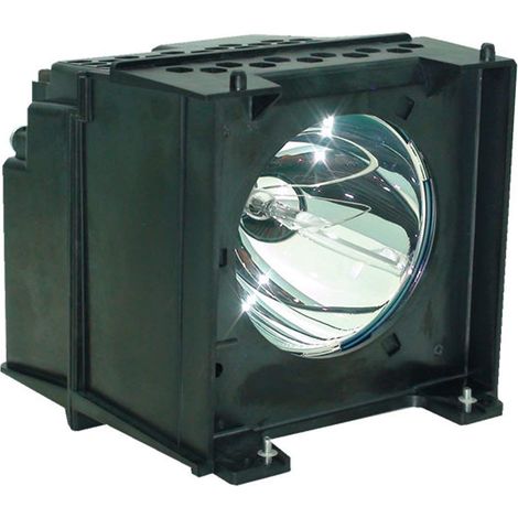 Lampe ampoule bulbe de remplacement avec boîtier Compatible avec 50HM67 57HM117 57HM167 65HM117 65HM167 50HM66 50HMX96 56HM16 56HM66 56HMX96 50HM16 Lampe