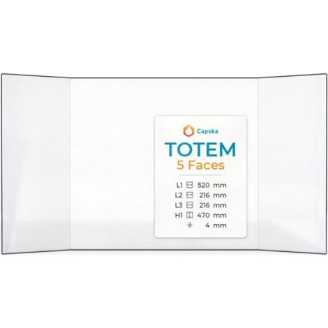 Vitre Totem 5 FACES - Verre Prismatique pour insert - (216 + 520 + 216) x 470 mm (L2+L1+L3 x H1) - 4 mm (1/5)