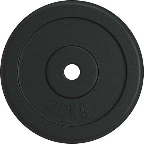vidaXL Disco de pesas hierro fundido 20 kg (1/2)