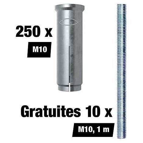 Set promotionnel Fischer Chevilles à frapper EA II - M10, 250 pièces + 10 tiges filetées M8 gratuites (1/5)
