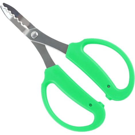 Sécateur, outil de jardinage, désherbeur, ciseaux manuels, kit pour débutant (1/5)