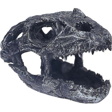 1 Stück Ceratops-Schädel aus Kunstharz