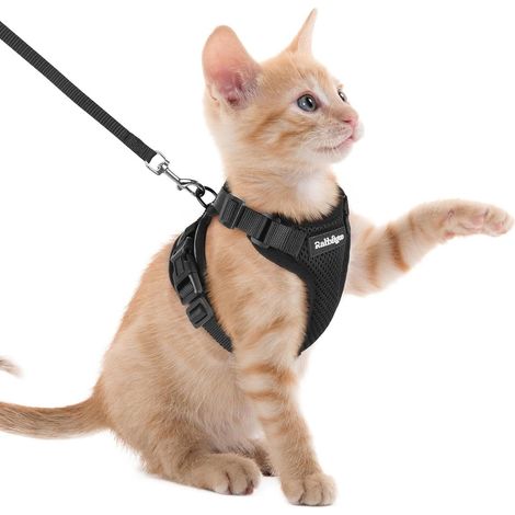 Harnais pour chat avec laisse taille XS réglable et réfléchissant pour chat et chaton tour de cou 21,25 à 27,5 cm tour de poitrine 35 à 40 cm couleur noire (1/5)