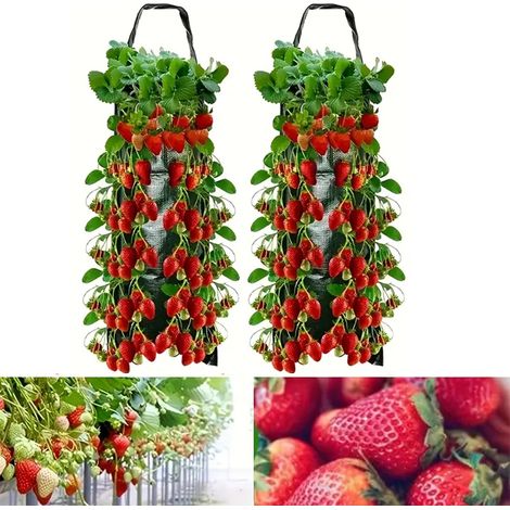 Sac de pot de fleurs suspendu aux fraises, sac de plantation de fraises, avec 8 trous, pour fraises et tomates, 2 pièces (1/5)