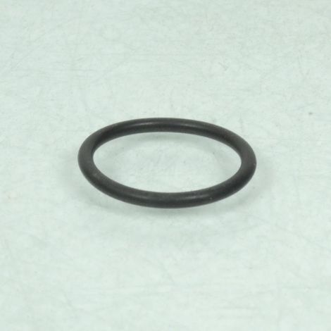 O-Ring 24x29x2.5mm für Motorrad Triumph 660 Daytona 2024 T3600190 (1/3)