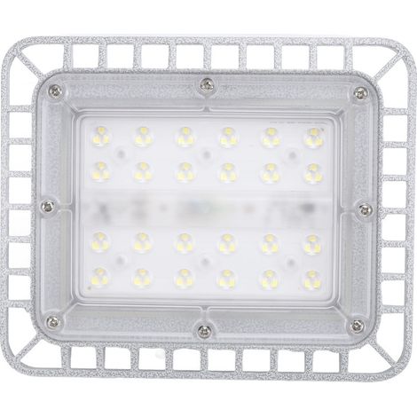 Lampe LED antidéflagrante 50 W 5500 lm 5000 K haute luminosité IP65 étanche, boîtier en aluminium moulé sous pression, 220 V (1/5)