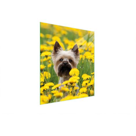 TABLA DE CORTAR DE VIDRIO 45x52 PERRO (1/5)