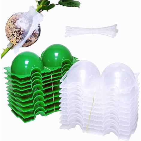 20 Boule De Marcottage, Kit Germination Transparent, Serre Pour Semis, Outil Bouturage Plante, Jardin Intérieur Et Extérieur (1/5)