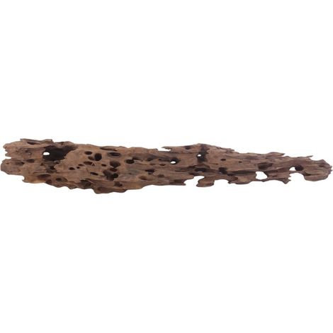 XL Honey Comb Wurzel Nr.3040 Holz Deko Aquascaping