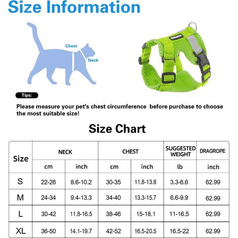 Harnais pour chat avec laisse et collier réfléchissants, ensemble de promenade confortable et réglable pour chaton (1/5)