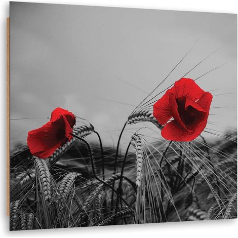 Quadro deco panel, Papaveri rossi e grano - 30x30 (1/5)