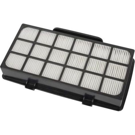 Filtro HEPA ZR920101 RS-RT4310 - aspirapolvere
