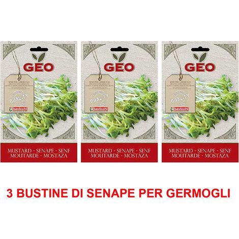 OFFERTA 3 CONFEZIONI SEMI BIO DI SENAPE PER GERMOGLI 50GR SEMENZAIO SEMENTI