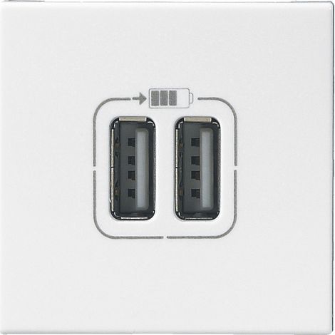 Legrand – Prise double USB Type-A 3A 2 modules – Puissance 15W – Raccordement Phase-Neutre – Installation facile sur supports variés (1/5)