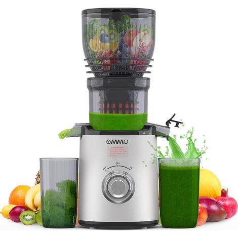 Slow Juicer, 300W Extracteur de Jus de Fruits et Légumes, Argent Goulotte de 148 mm, Facile à Nettoyer, 2 Tasses PC, Sans BPA (1/5)