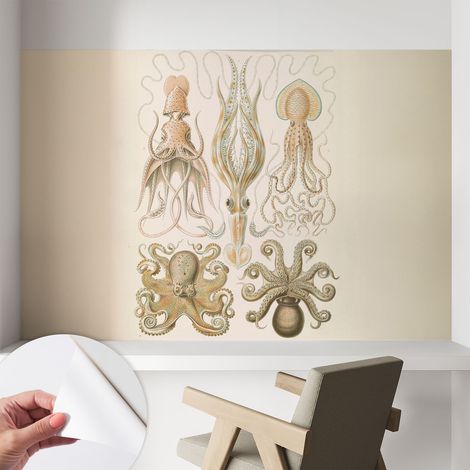 Tapete Selbstklebend - Fototapete mit Motiv - Wandtapete modern - Wandgestaltung Meeresleben 104x70 cm