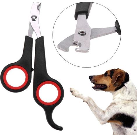 Ciseaux à griffes pour chien chat lapin, coupe-ongles de toilettage, soin des pattes, paire robuste et précise (1/5)