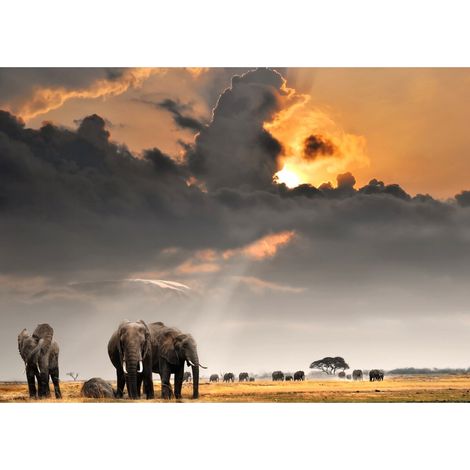 Tableau sur toile troupeau d'éléphants 100x140 cm - Impression sur Toile Murale Décorative - Image imprimée en HD sur Toile - Toile sur Châssis en Bois FSC - Fabriqué en France (1/5)