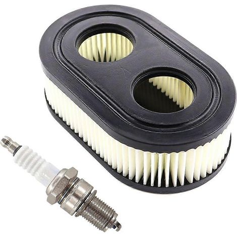 Filtre à air avec bougie d'allumage pour Viking MB 448.1 T, MB 448 T, Stihl RM448 RM443 RM253 (1/5)