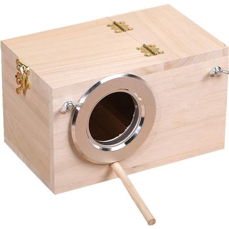 Perroquet Bo