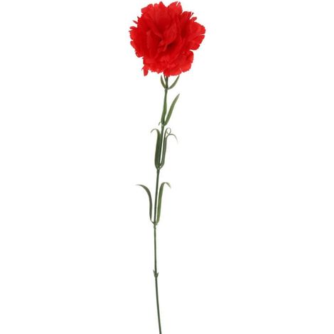 Einzelne rote Nelke, 54 cm (1/3)
