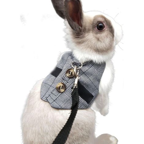 Pettorina regolabile per costume da coniglio, set di imbracatura e guinzaglio per piccoli animali, conigli, criceti, gatti - Grigio M (1/5)