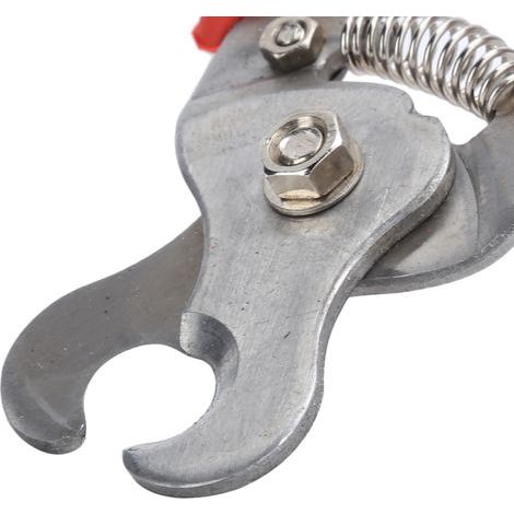 Greensen Étiquette d'oreille Retireuse, Pince Applicatrice D'étiquettes d'oreille en Acier Inoxydable Retireuse D'étiquettes d'oreille pour Animaux avec Poignées Antidérapantes en (1/5)