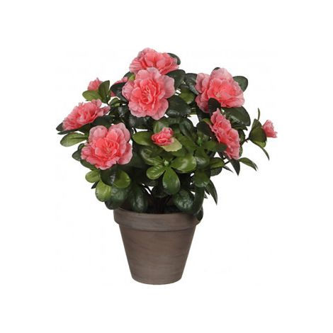 Azalea Artificial Melocotón en Tiesto Gris 11,5x27cm