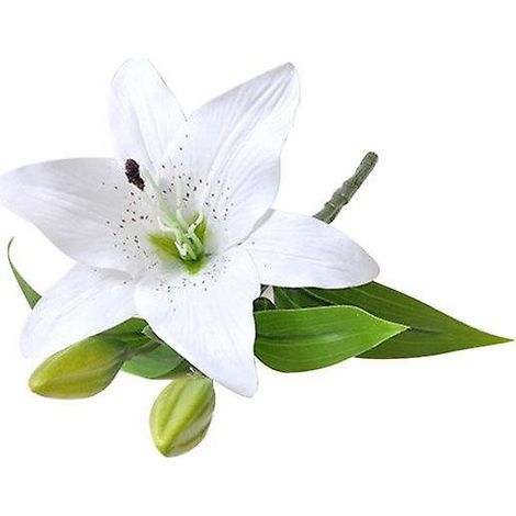 fleur de lys artificielle, fausse plante, décoration pour la maison, le bureau, un café, un mariage ou une fête.blanc (1/5)