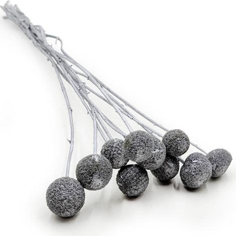 Getrocknete Craspedia - (Craspedia) - Silber - 10 Stück. (1/5)