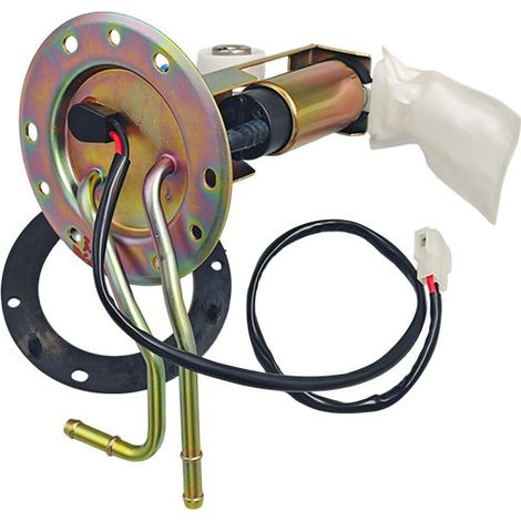 Passend für Changan Ouya 1000190A15 Kraftstoffpumpenbaugruppe, auf Lager.