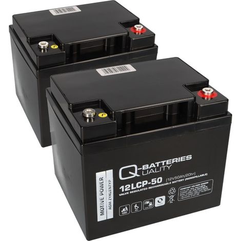 Akku kompatibel E-Mobil Freerider 2x 12V 50Ah (1/5)