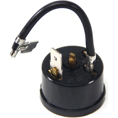 Protecteur de surcharge thermique pour réfrigérateur Pièce de rechange pour climatisation Compresseur de surcharge Contrôleur de température Accessoires/1/6 (HP) 125 W