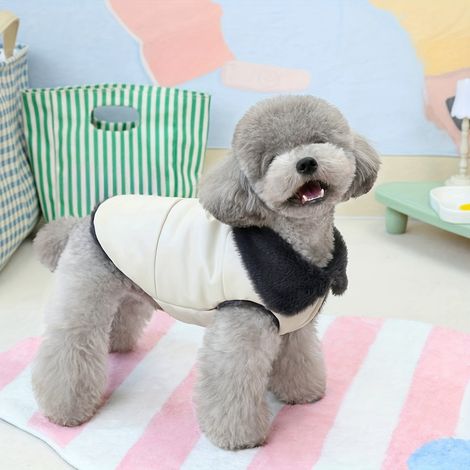 Manteau Chien - Imperméable avec Doublure Polaire - Fermeture Boucle Réglable - Pour Races Petites comme Bichon, Caniche Nain, Pékinois - 1 Pièce (1/5)