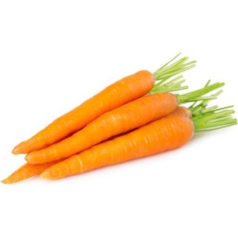 Semi di carota "Nantese migliorata 2" piante per orto e giardino