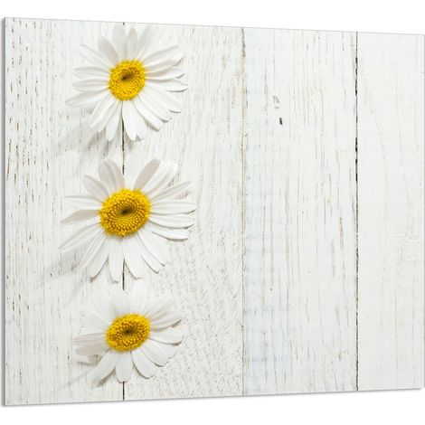 Panneau de verre pour la cuisine 65x60 Bois (1/5)