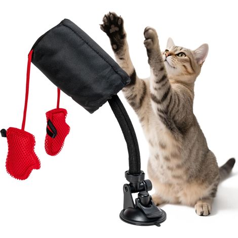 Sac de frappe interactif pour chat – Jouet de boxe à ressort pour chat avec gants de boxe et ventouse pour intérieur chats adultes, chatons, chiots, petits chiens, animaux de compagnie (1/5)