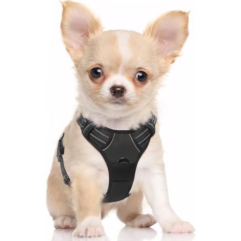 Dog Harness Small Dog No Pull Pet Harness with 2 Leash Clips, Adjustable Soft Padded Pet Vest Harness, Reflective No-Choke with Easy Control Handle for Training or Walking, Black, S