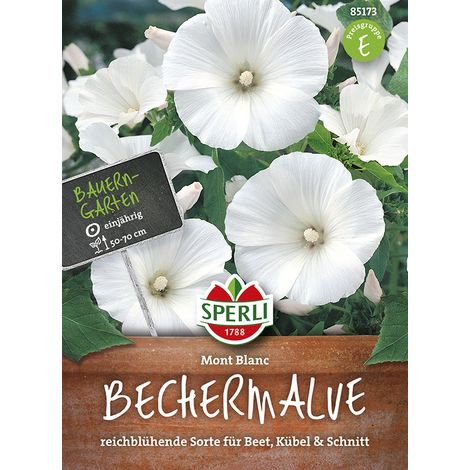 Sperli Bechermalven Mont Blanc - Blumensamen (1/2)