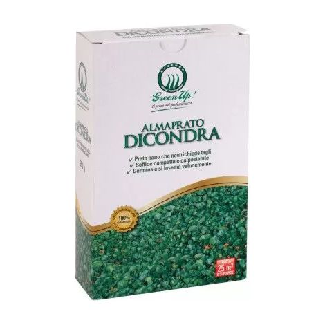 Almaprato Dicondra - Graines de pelouse couvre-sol de 250 Gr