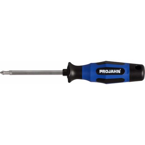 Projahn Universal Schraubendreher Phillips + Pozidriv 1/2/3 (1/2)
