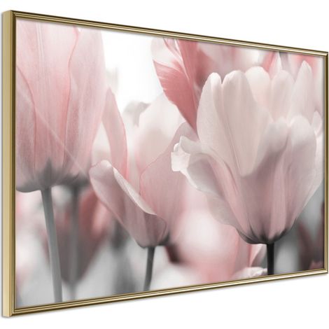 Affiche Murale Encadrée "Pastel Tulips II" 60 x 40 cm Or