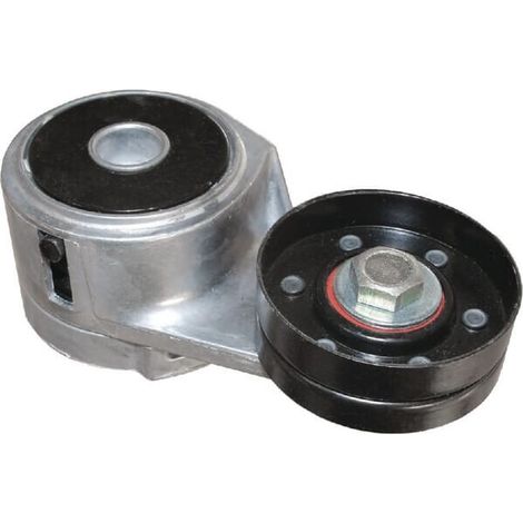 Tendeur de courroie VAPORMATIC VPE6301