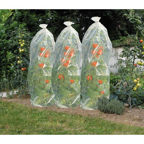 Direct Filet – Gaine de croissance pour tomates – Film perforé 15m Ø50cm – 400 trous/m² – Polyéthylène transparent – Traitement anti-UV