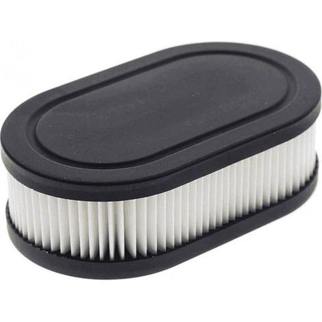 Ersatz-Papierluftfilter (schwarz-weiß) für Briggs & Stratton Rasenmäher 09P702-0128-F1, 550E, 550EX, 575EX, 9 Motor - DKSFJKL (1/5)