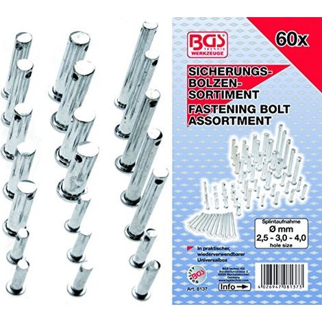 Assortimento  perno  di  sicurezza  BGS  60  pz.  -  8137