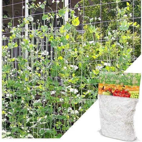(1,67m x 5 m)Filet pour Plantes Grimpantes, Grande Maille Filet Tuteur, Grimpante en Polyethylene Filet de Treillis, pourTomates, Raisins, Concombres, Autres Fruits et Légumes, Blanc (1/4)