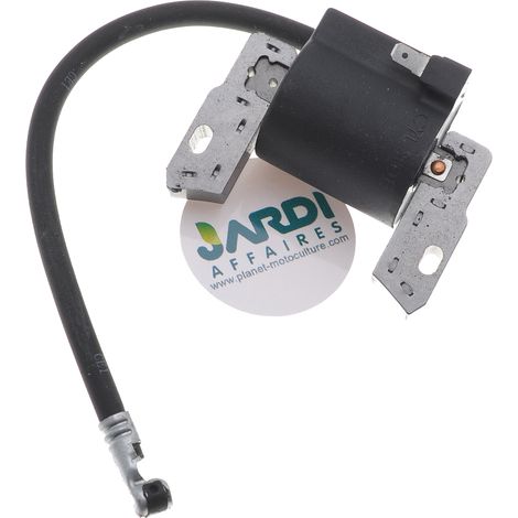 Bobine d'allumage compatible avec Briggs Stratton remplace 591420 (1/3)