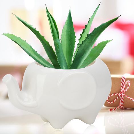 1 Stück Keramik-Harz-Sukkulententopf, Blumentopf, Vase, Garten L (1/5)